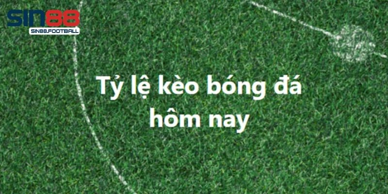 Tỷ Lệ Kèo Sin88 – Thông Tin Hấp Dẫn Để Soi Cầu Hiệu Quả